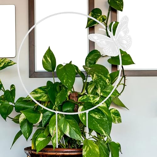 Miniatura 5 de 2 enrejados de metal para plantas de jardín, enrejado, círculo redondo, enrejado, soporte para plantas de vid para interiores y exteriores, flores,