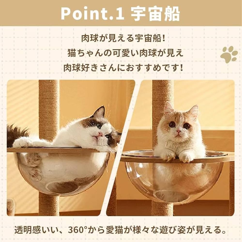うえむー(飼育係) ②メダカの繁殖を楽しもう！～繁殖に理想的な容器～ - YouTube