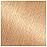 Garnier Nutrisse Nourishing Hair Color Creme, 92 Light Buttery Blonde (Packaging May Vary)
