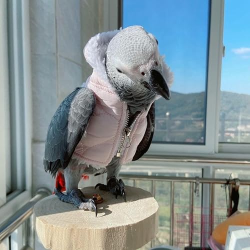 Bird Cloth Christmas Party Birthday Costume for Parrot Halloween Pet Birds Clothes Birds Cosplay Outfit Hoodies (Black,XL)(Pink,2M)