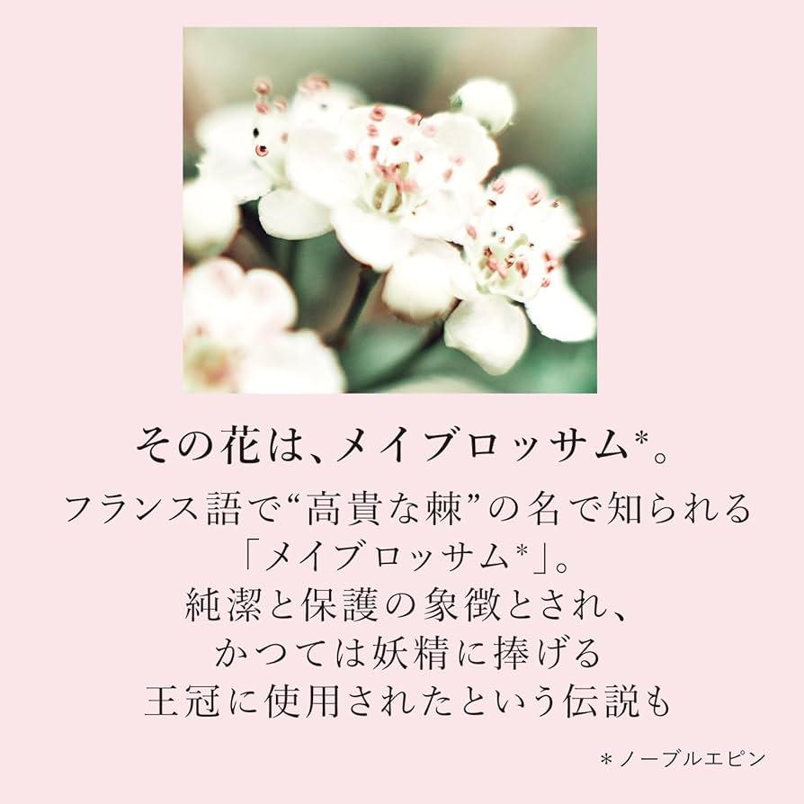 Amazon.co.jp: ロクシタン(L'OCCITANE) フラワーブーケ トリオ