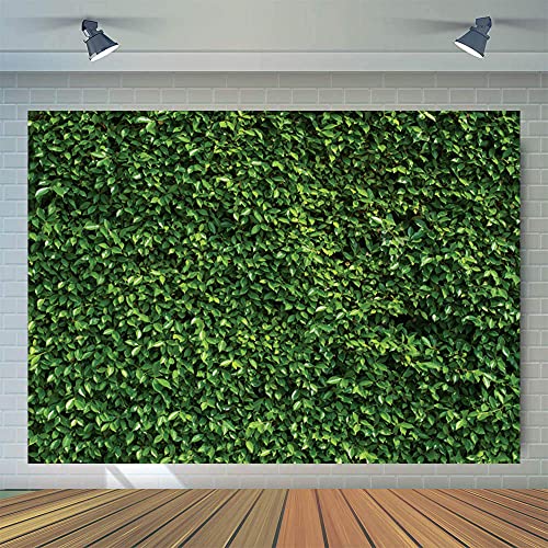 Fondo Fotográfico Verde 10x8FT para Estudio y Eventos miniatura 3