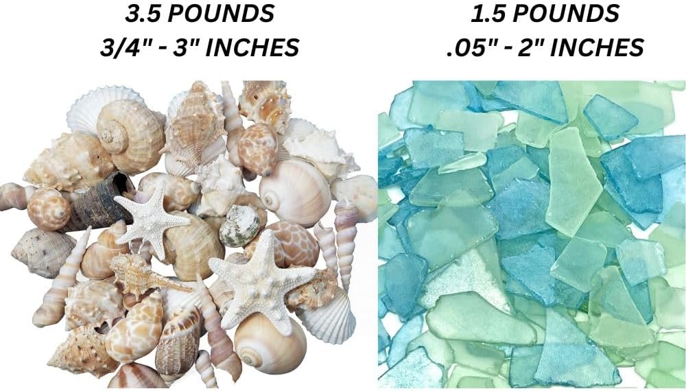 Tumbler Home Shells in Whites, Tans & Pinks & Frosted Sea Glass in Aqua & Mint, Perfect for Crafts, Decor, Weddings & Vase Filler