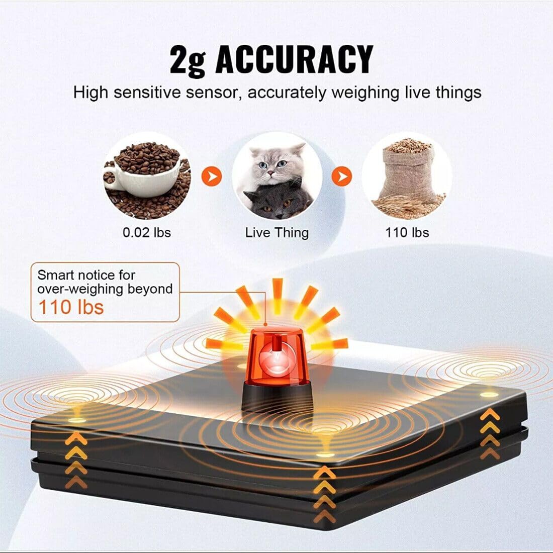 View 5