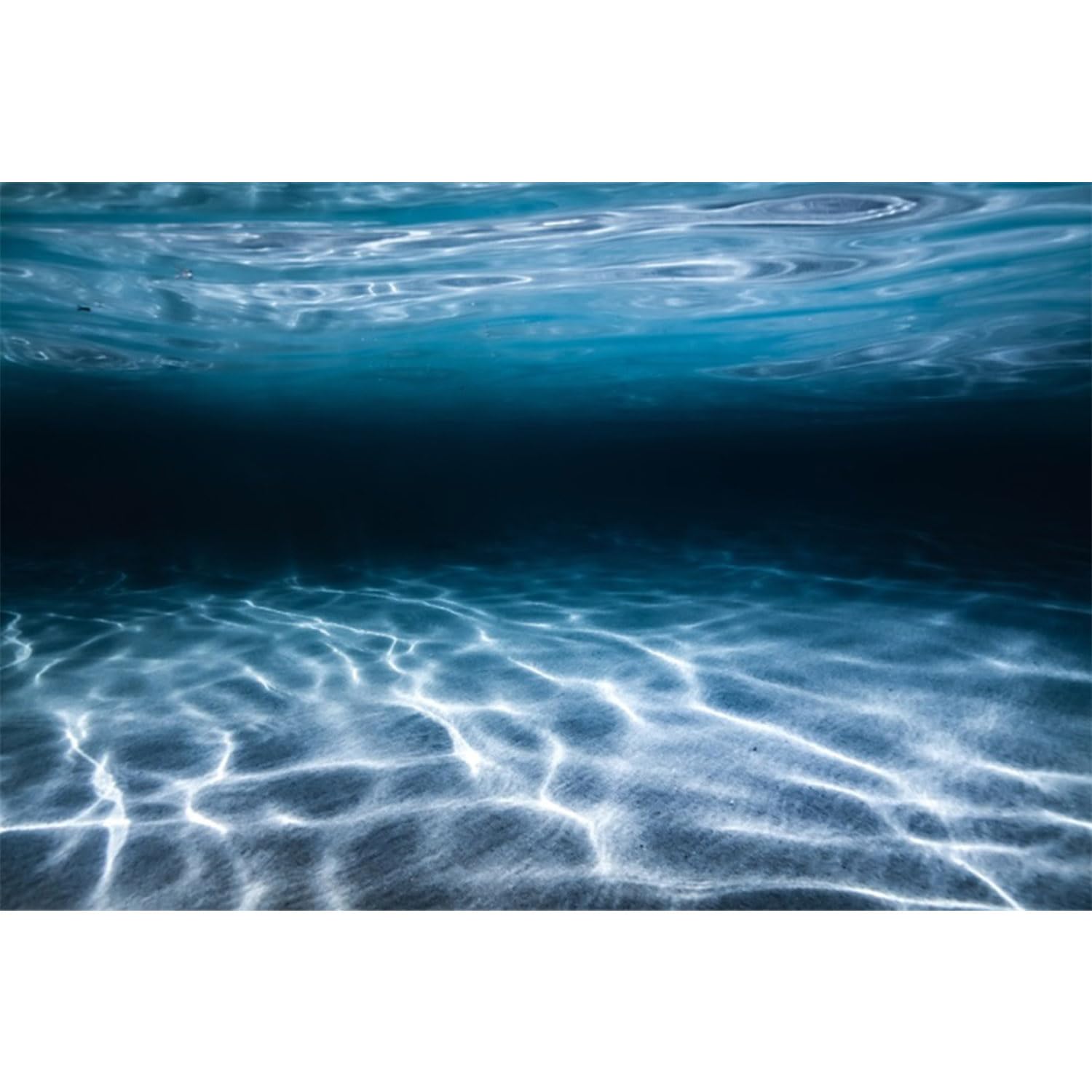 MIRRORANG 61x41cm Undersea Theme Aquarium Background Underwater World Fish Tank Background Aquarium Backgrounds Backdrop — image 1