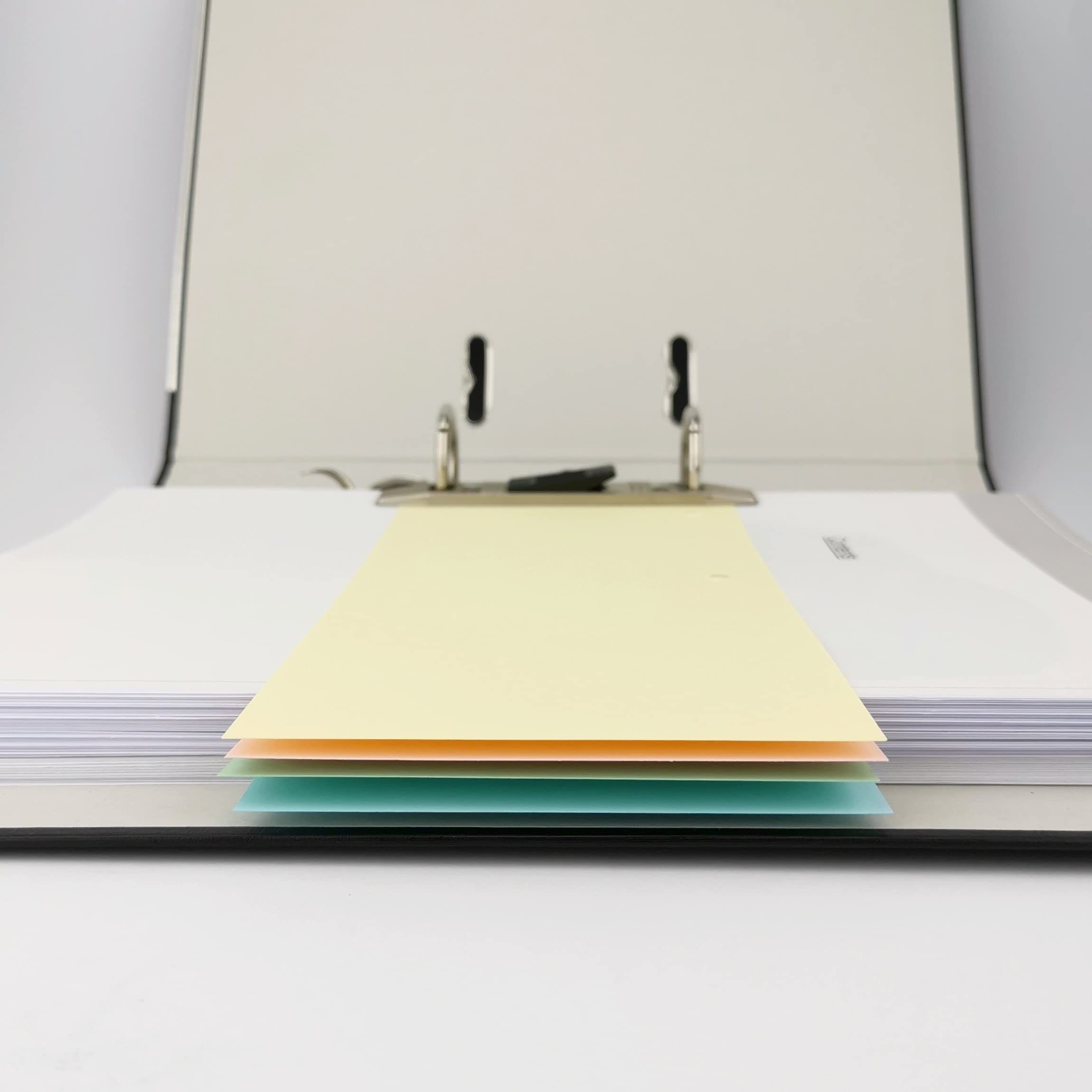 D.RECT Confezione 100 strisce divisorie cartone colorate 11x24 cm 160 g/m² 5 colori