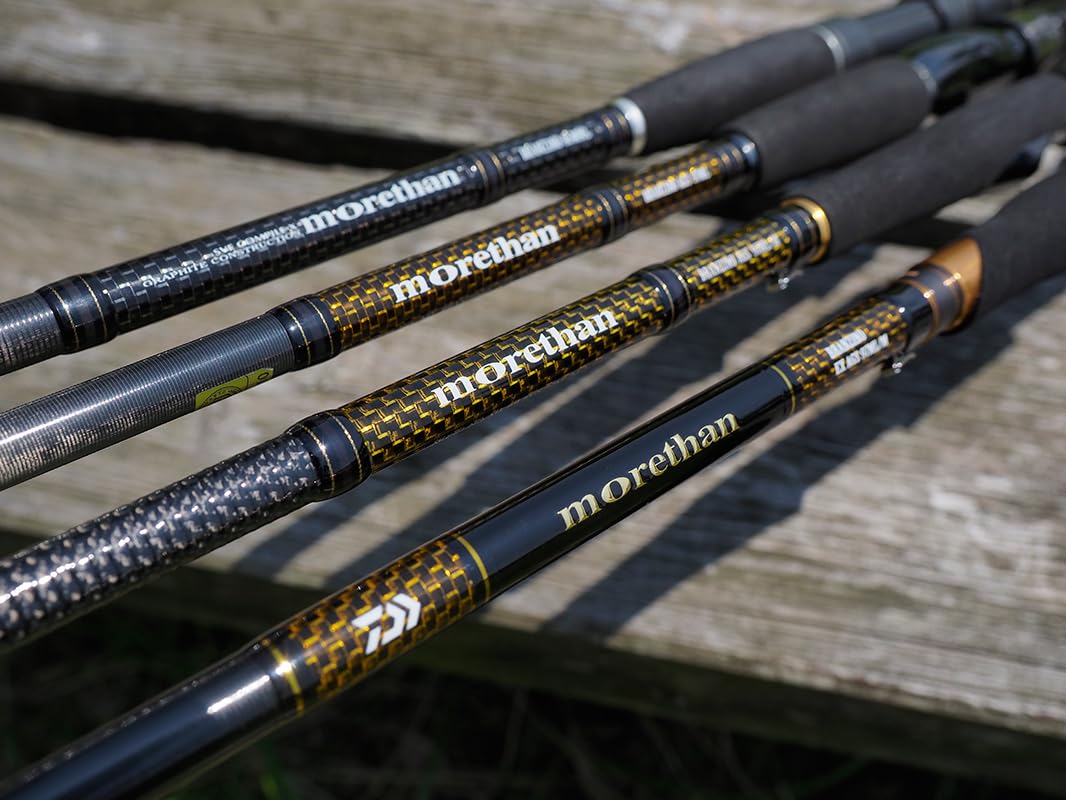 Amazon.co.jp: DAIWA 21morethan BRANZINO EX AGS 97ML/M : スポーツ