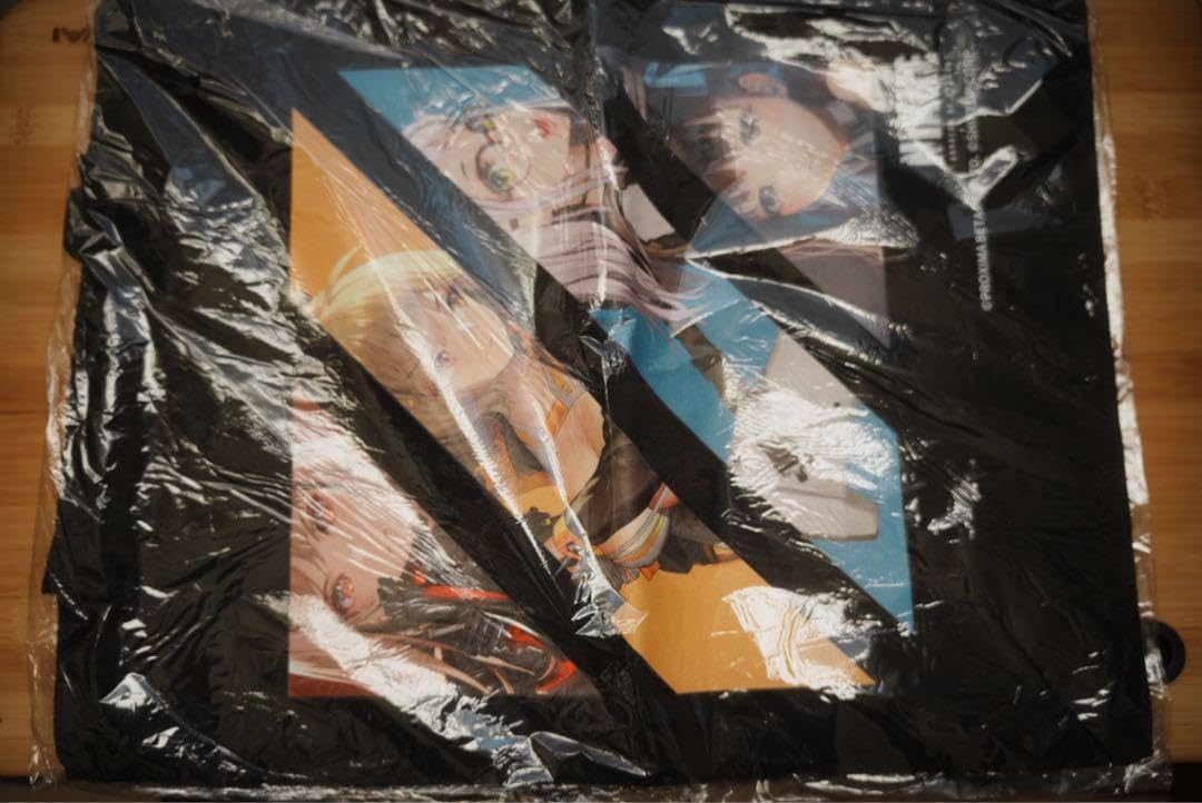 勝利の女神 NIKKE TGSトートバッグ 激レア】開始前 東京ゲームショウ