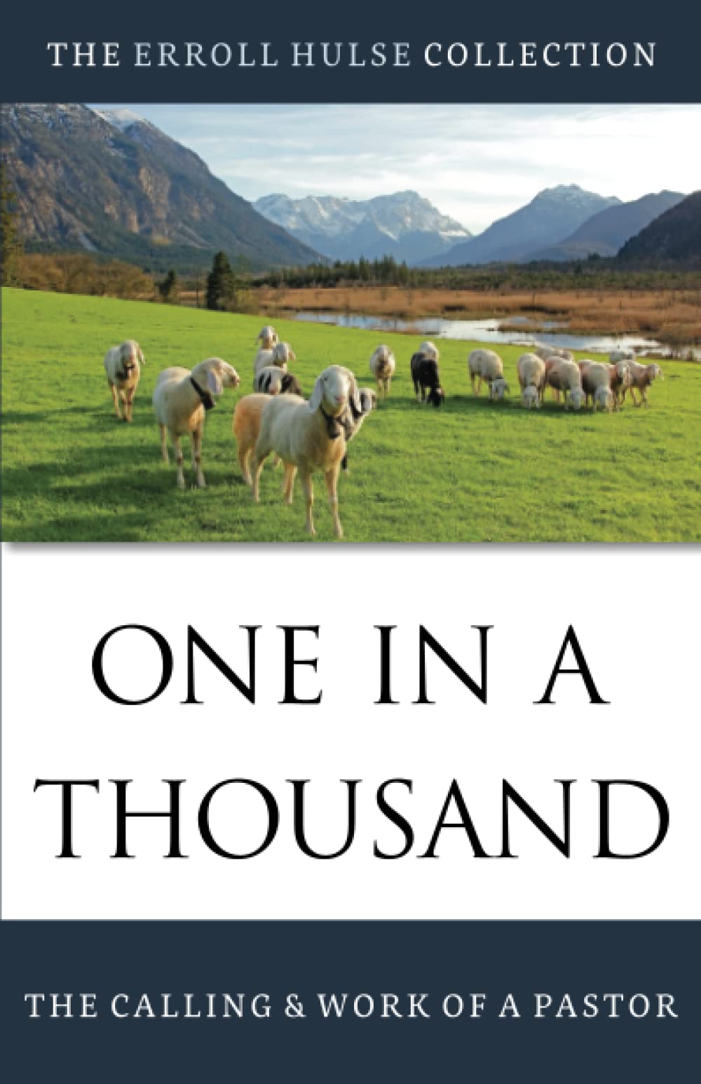 One in a Thousand: The Calling and Work of a Pastor (The Erroll Hulse Collection)