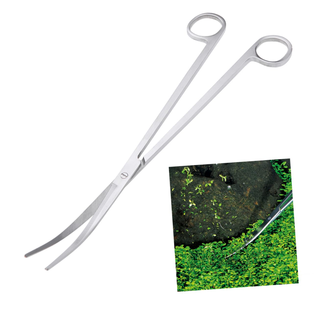 DOITOOL 3stücke Edelstahl Aquariumschneider Mit Gebogenem Schnitt Pflanzenzange Für Aquarienpflanzen Rostfrei Ergonomisches Design Für Präzises Trimmen Von Bodendeckern Und