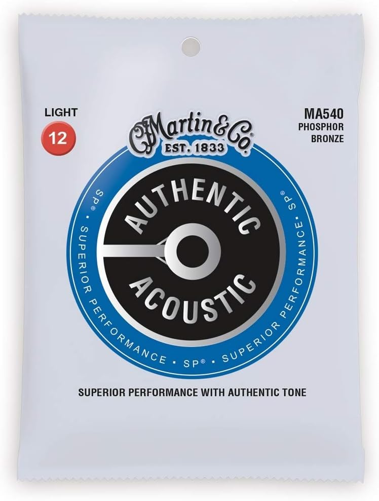 Acoustic Guitar Body (M540)