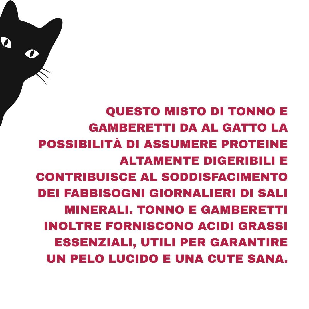 Natural Code - Comida húmeda para gatos adultos con sabor a atún y gambas, número 09, alimento completo en SFILACCETTI para gatos adultos de todas las tallas, altamente digerible | 12 latas de 85
