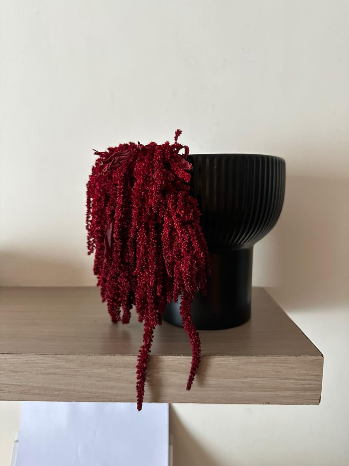 Versailles Preserved Red Amranthus | Vibrant Everlasting Dried Flowers Home Decor, Shower Hanging, Vase Arrangements, and Wedding Greenery - Long Lasting 3 Stems-image-44