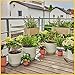Gardena 13401-20 Micro Drip Sprinkler System for Balcony (15 Strains) Starter Set