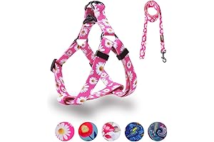 Terrain Dog Harness Leash Set: Conquer the Wilderness with Confidence