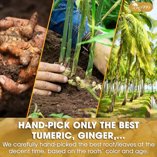 Image of TOG999, Premium 8oz Golden Milk Powder - Turmeric, Cinnamon, Ginger & Black Pepper - Natural Spice Blend for Lattes, Smoothies & Baking - Non-GMO, No Additives.