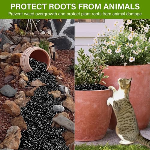 Image of NUPICK 6lb River Rocks for Plants Indoor, 3 /8 Inch Black Pebbles for Vases Fillers, Decorative Pea Gravel for Fish Tank, Natural Polished Stones for Succulent, Bonsai, Landscaping, Bird Baths