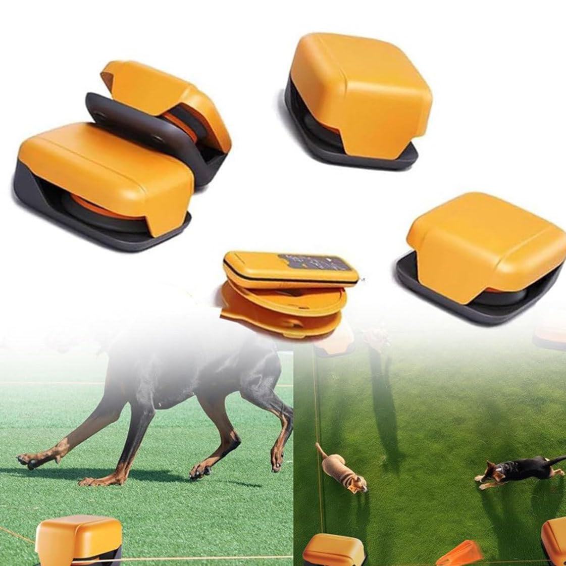 Zestaw treningowy Agility dla szczeniąt,maszyna do kursu przynęty dla psów,zdalnie sterowane przenośne zabawki do pościgu za zwierzętami dla psa,idealne do uwolnienia ich zabawnej natury