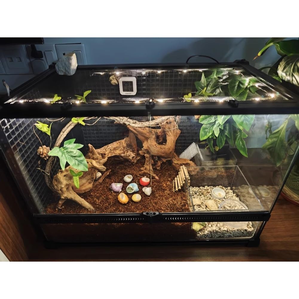 GZHERVICES Terrario para Reptiles, Lagarto, dragón Barbudo, Serpiente, Gecko Leopardo, camaleón, Lagarto, Reptil(30x20x20cm)