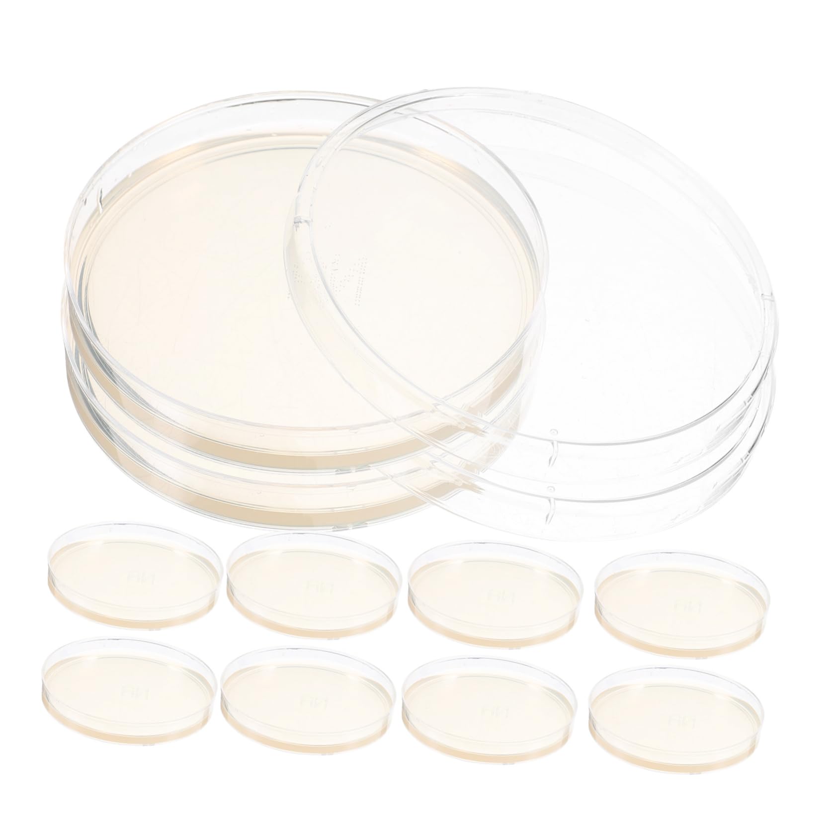 Cabilock 10Pcs Pre Poured Agar Plates for Laboratory Use Dishes for Science Projects and Versatile Culture Storage for Research