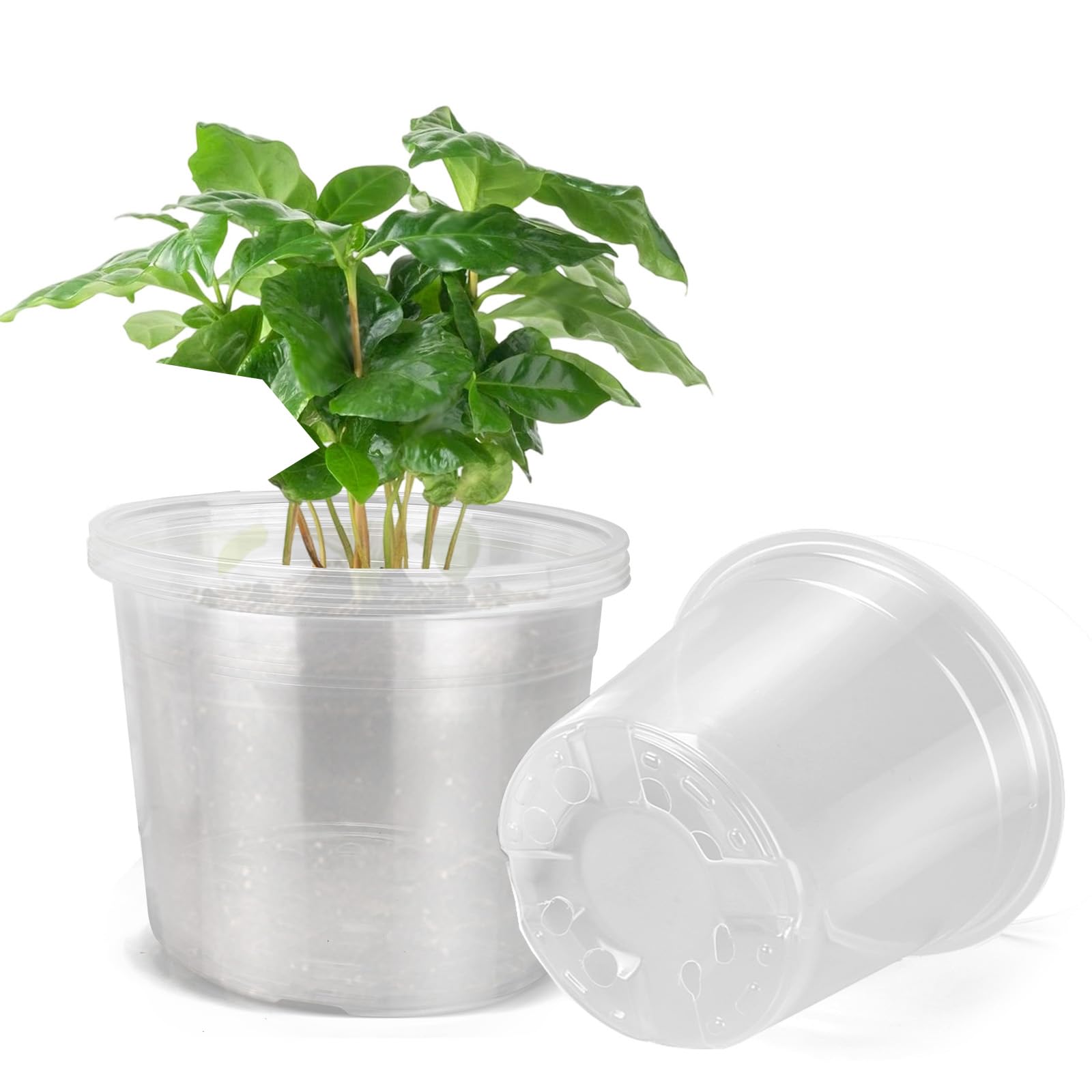 DUNPUTE 10 Inch Clear Nursery Pots