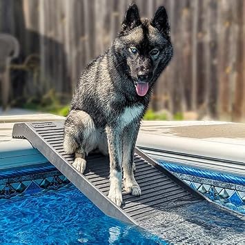 PetStep Pool Ramp for Dogs - Standard Legs, Graphite/Gray - Small and Large Dog Pool Ramp for Above-Ground and In-Ground Pools