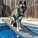 PetStep Dog Ramp for Pools - (Standard Legs, Khaki/Beige)- Small and Large Dog Pool Ramp for Above-Ground and In-Ground Pools