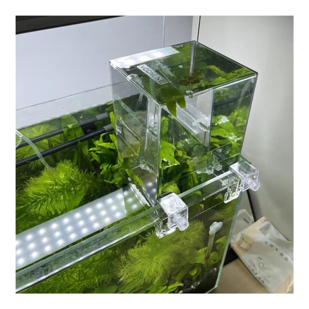 Aquarium Innovation for Aquarien mit Unterdruck: Rechteckiges, ökologisches Tisch-Aquarium aus klarem Acryl, HD-Qualität