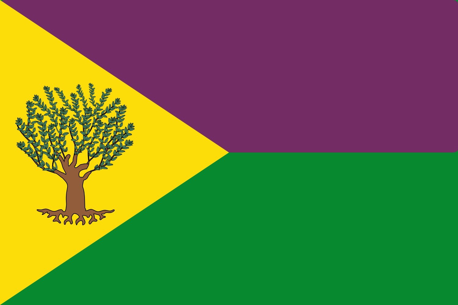 Drapeau Recas grand format Castilla-La Mancha tissu résistant