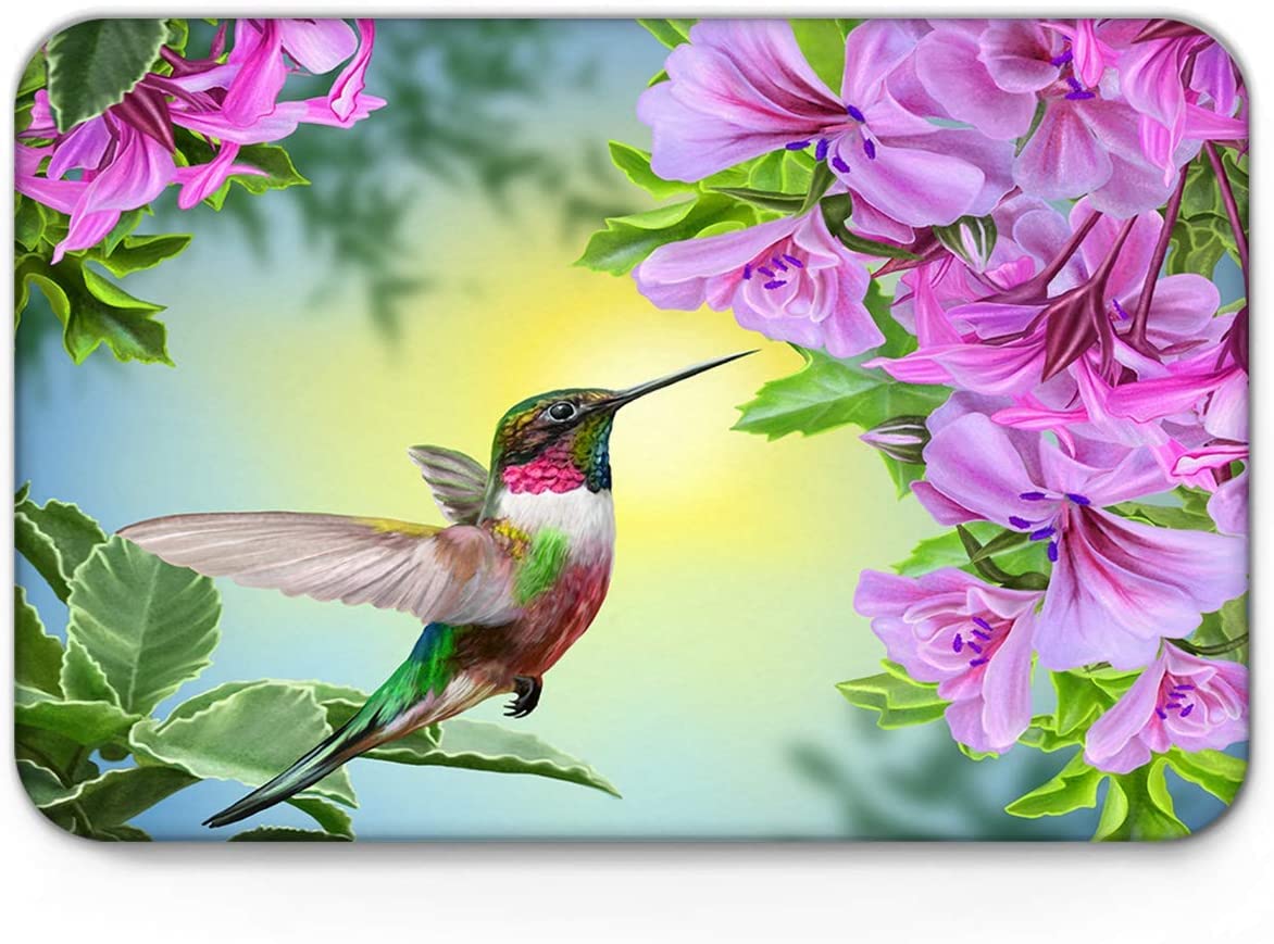 Door Mat Hummingbirds and Brilliant Flowers Nature Landscape Low-Profile Area Rug Non Slip Waterproof Bath Mat Entrance Doormat for Kitchen, Bedroom,