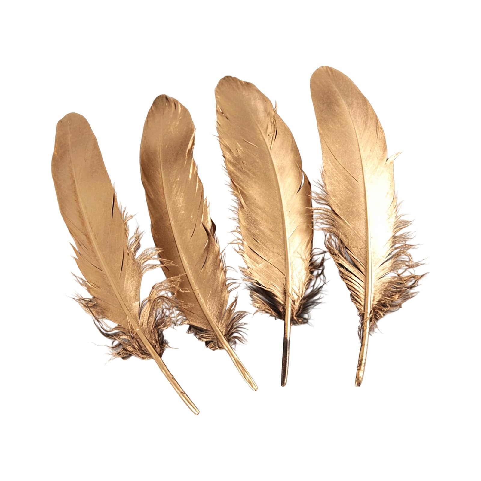 our fave 50Pcs Bright Plumage for Crafting Photography Backdrops and Themed Party Supplies Sewing Embellishment Quills
