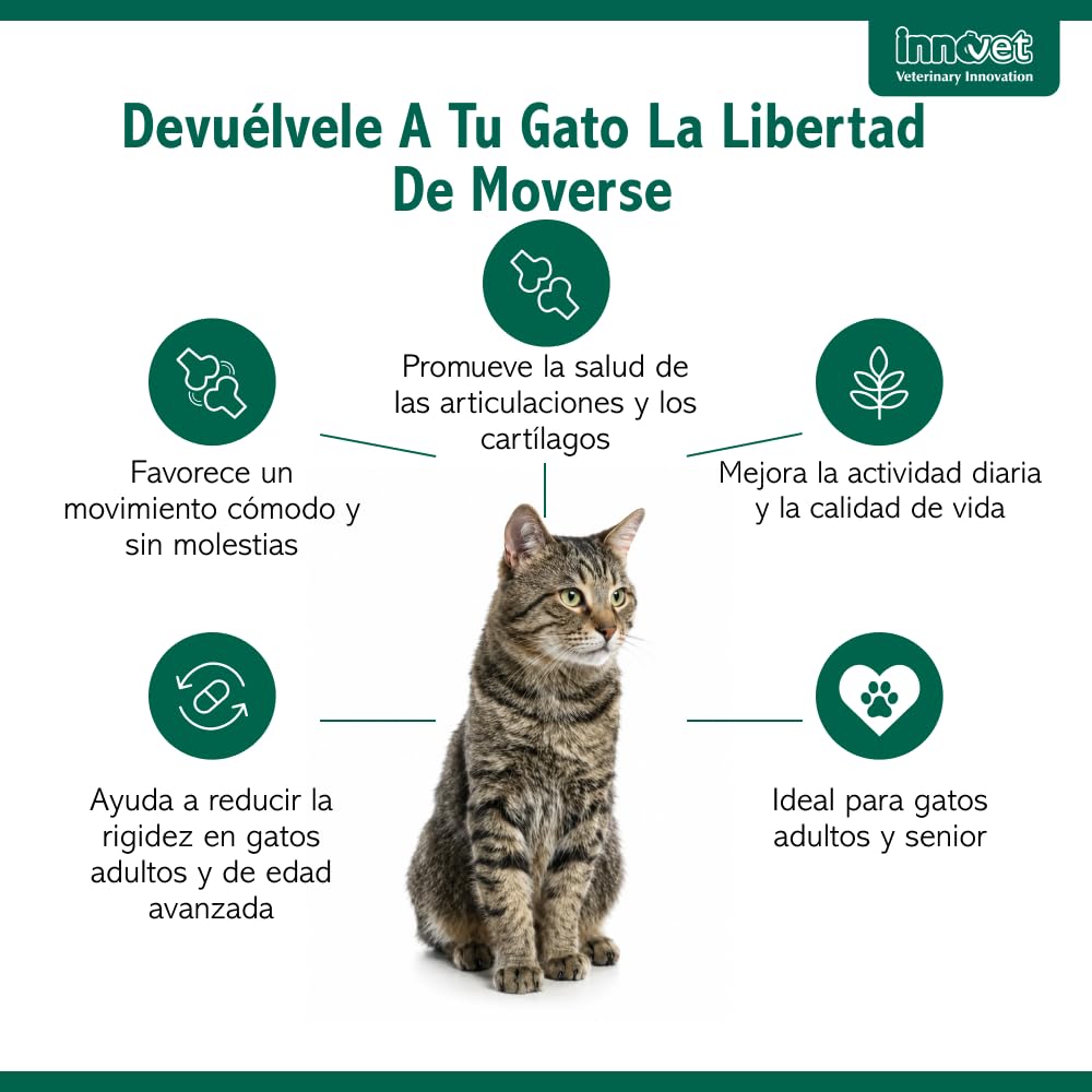 Innovet Condrostress (+) Cat, para gatos adultos y ancianos con rigidez articular, contra la osteoartritis, preserva la capacidad de movimiento, neutraliza los radicales libres, paquete de 30 cápsulas