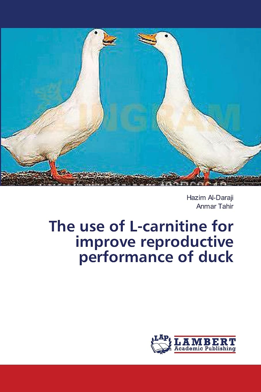most effective form of l-carnitine Amazon.com: Cutler Nutrition Liquid L-Carnitine Fat Burner Supplement with Acetyl  L-Carnitine & L-Carnitine Tartrate - Fat Burner Formula for Optimal  Absorption, Energy & Muscle Support