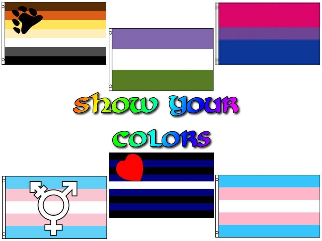 AES Wholesale Lot of 6 Show Your Colors LGBTQ Bear Pride Bi Pride Leather Pride Genderqueer Transgender Symbols and Transgender 3'x5' Polyester Flags