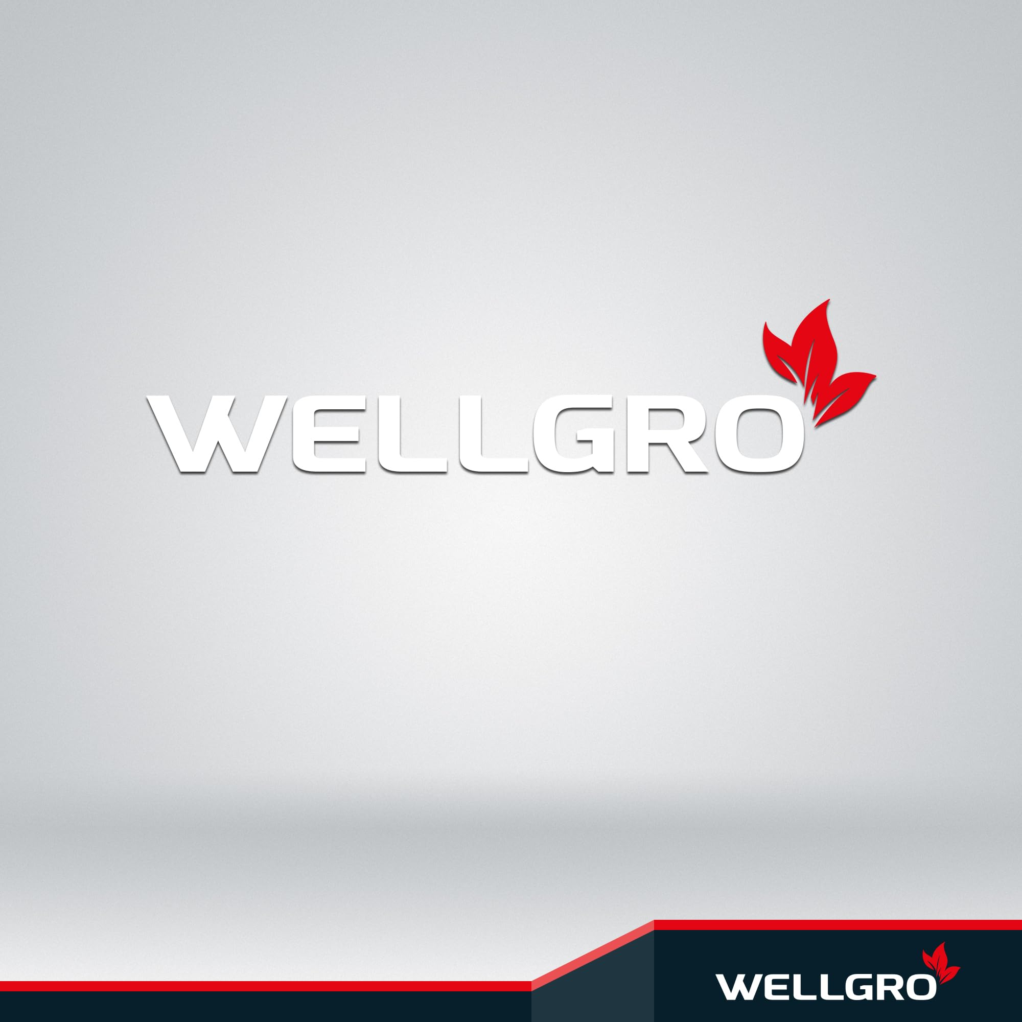 WELLGRO 2 in 1 Standaschenbecher Edelstahl für draußen – Wetterfester Standascher schwarz mit Mülleimer & Abfalleimer, großer Aschenbecher für Außenbereich, Terrasse, Eingang & Gewerbe