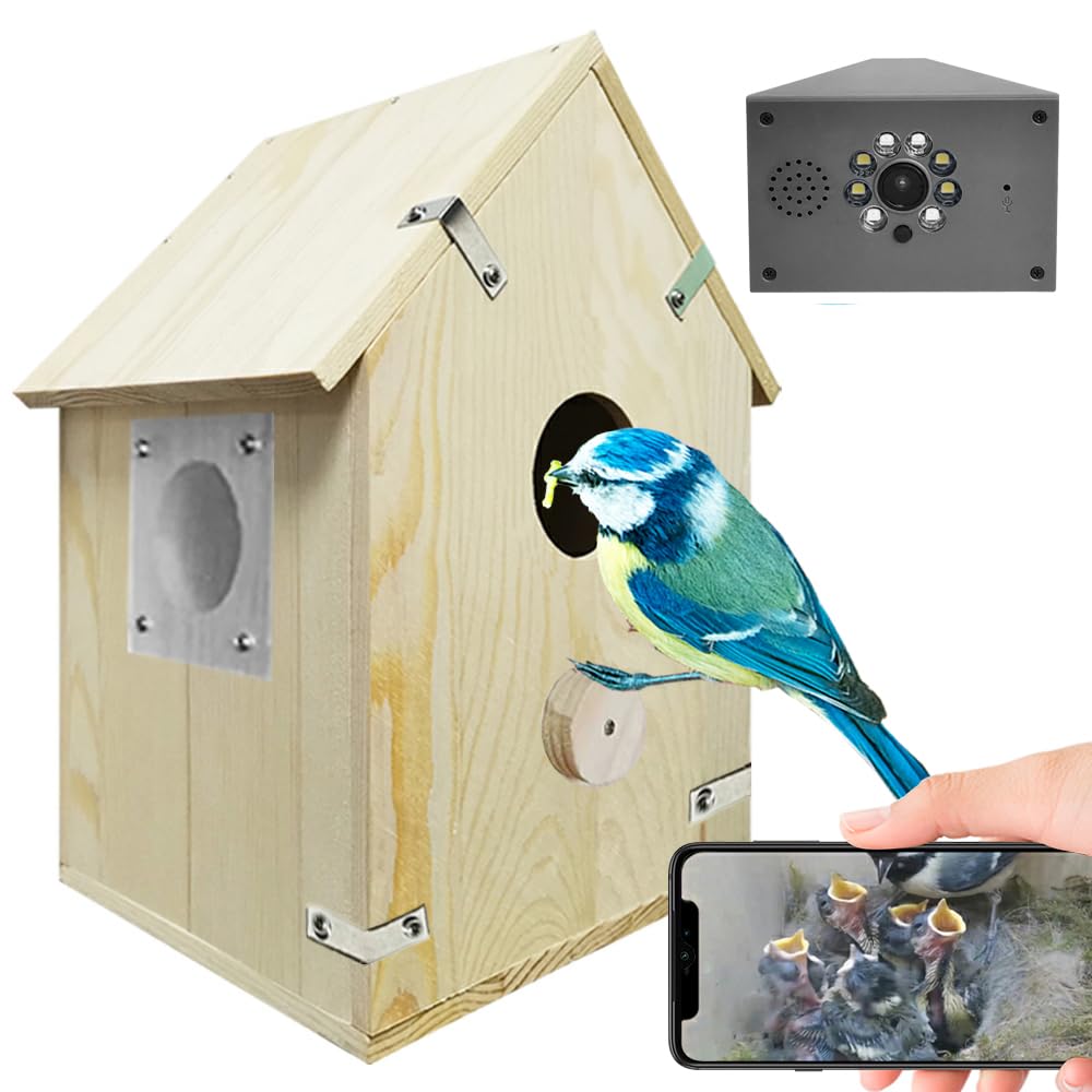 Nichoir oiseaux WiFi en bois avec carte 64 Go pour observer le jardin sur mobile