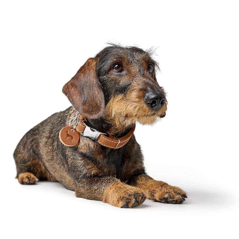 HUNTER Hundehalsung Aalborg ALU-Strong, Farbe: Cognac, weiches Leder, Aluminium-Klickverschluss, stufenlos verstellbar, robust, elegant & zeitlos, Made in Germany, Größe: XL