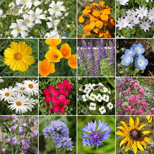 Image of Ferry-Morse Pacific Northwest Bulk Wildflower Seeds, 280,000+, 1 lb