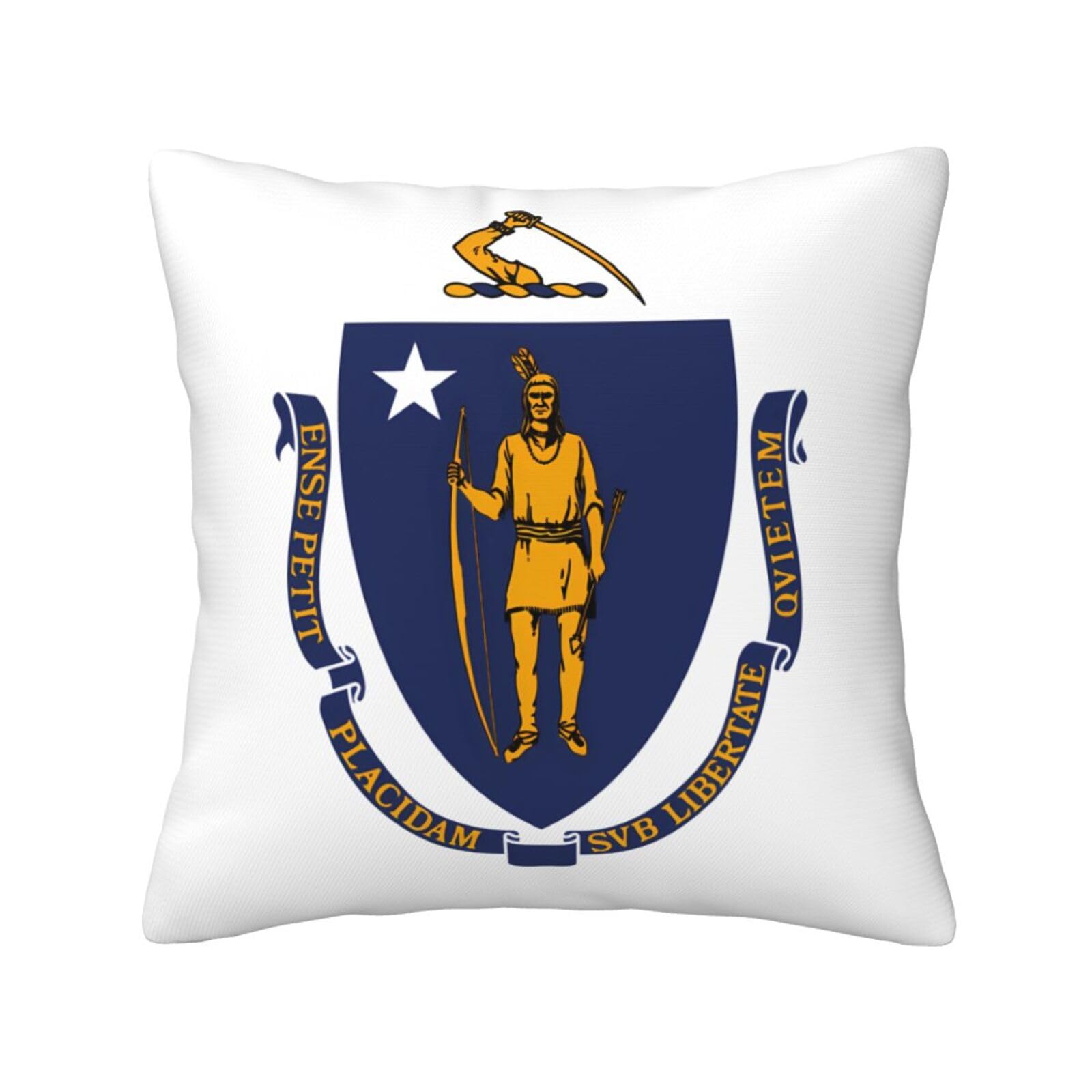 SXZVVBN Massachusetts State FlagDecorative Square Sofa Cushion Covers