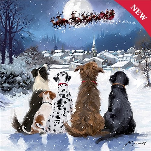 Dog Food Dogs Trust Advert Song 2018 Scrumbles Softies Dog