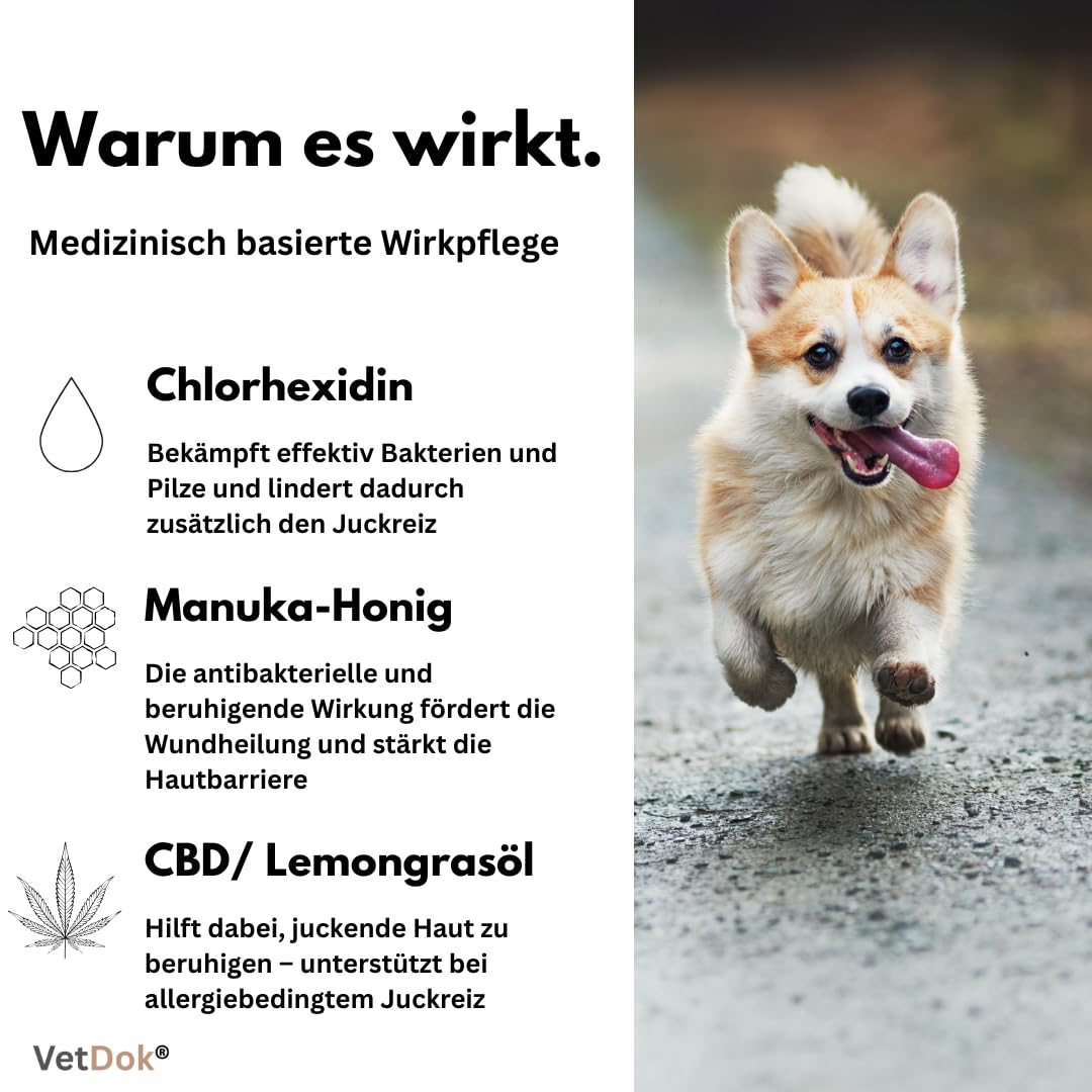 by Dr. Winkler dermatologisches Hundeshampoo – Fellpflege Hund mit Manuka-Honig & Chlorhexidin – für alle Hunderassen, Welpen & speziell Allergiker – 250ml