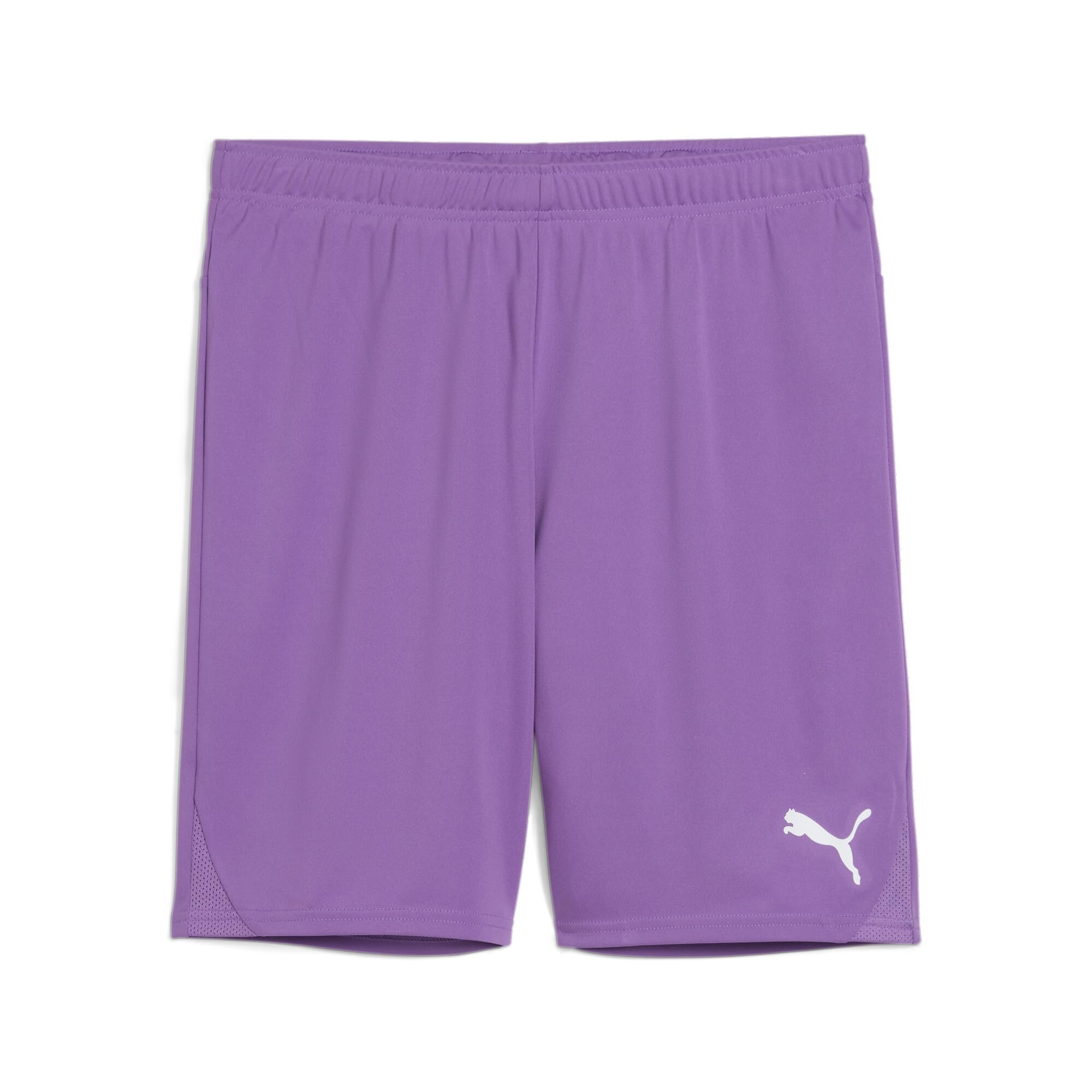 PUMA teamGOAL Shorts