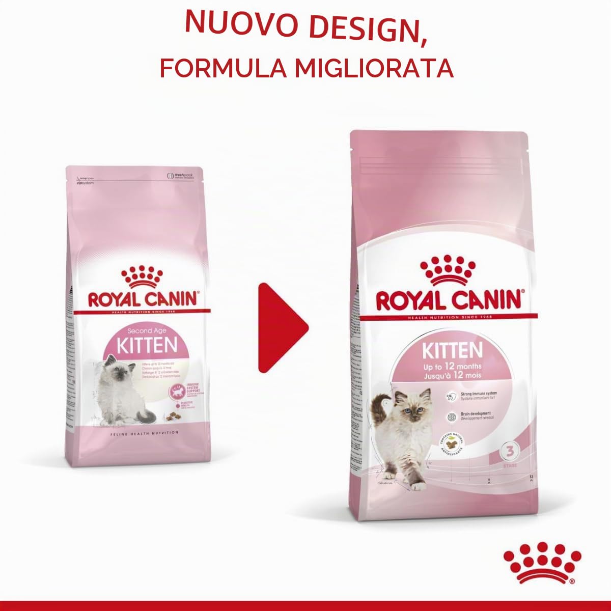 Royal Canin C-58436 Cat - 10KG