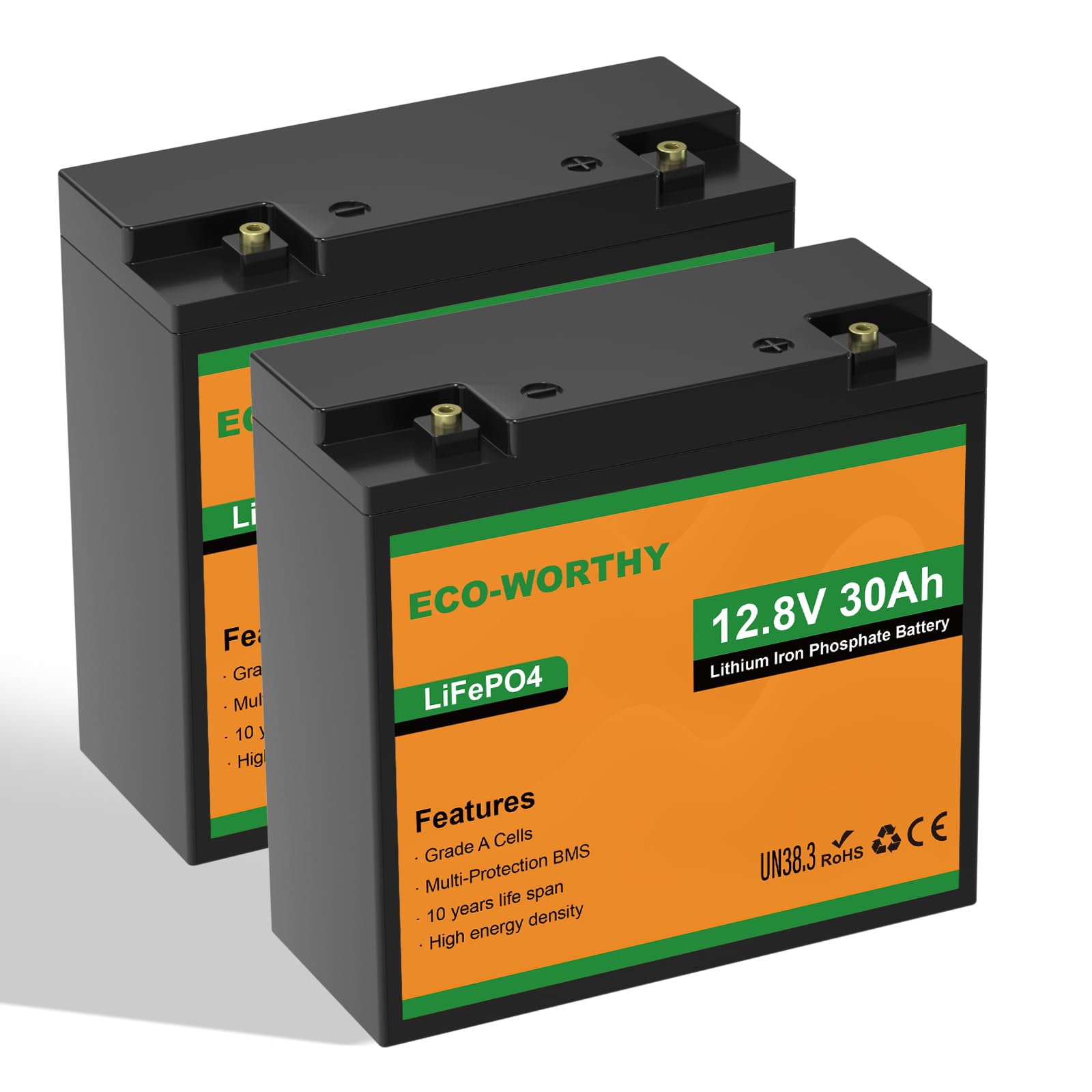ECO-Worthy LiFePO4 Lot de 2 Batteries au Lithium 12 V 30 Ah avec Protection BMS 25 A et Max. 15 000 Cycles, Batterie au Lithium 384 Wh 12 V 30 Ah pour Camping Car, Caravane