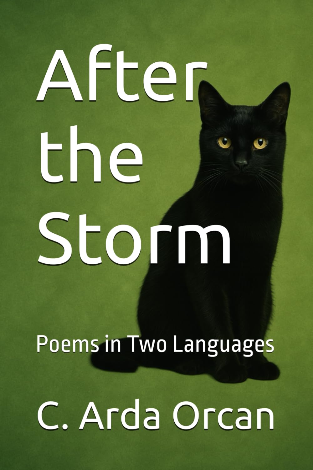 After the Storm: Poems in Two Languages