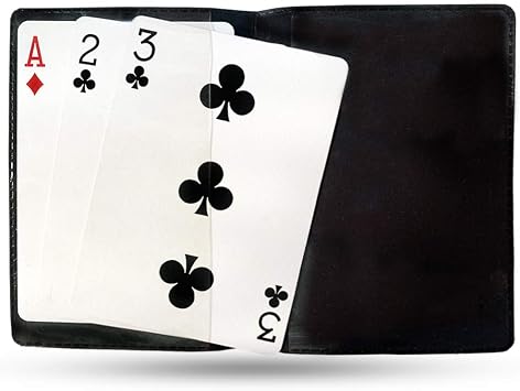 Magic Makers Ultimate Card Trick | Chase the Ace, 3 Bicycle Cards Included, Carrying Wallet, Step by Step Learning Guide