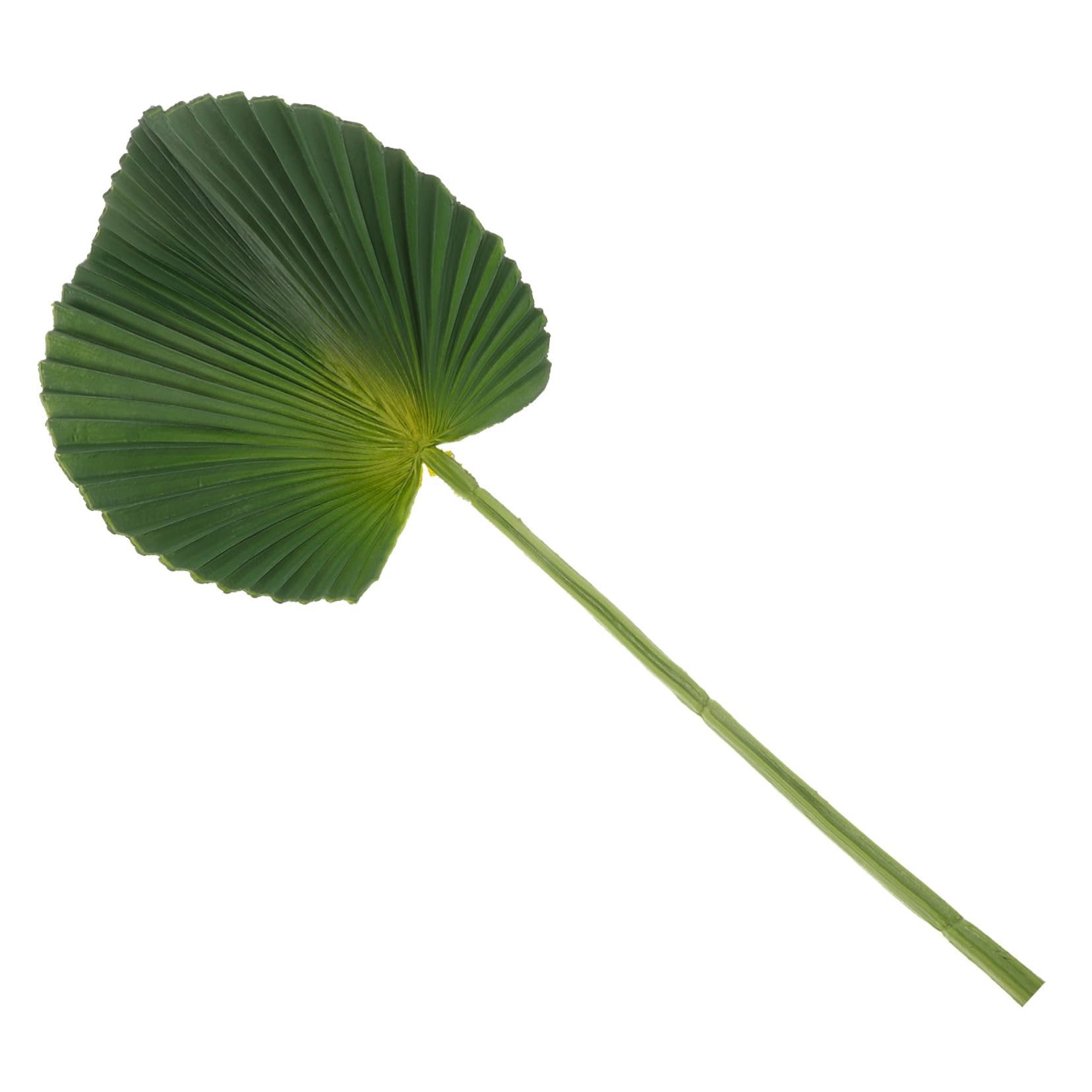 Amosfun 3 Pezzi Di Foglie Artificiali Decorare Piante Finte Disposizione Decorazione Verde Pianta Artificiale Decorazione Verde Foglia Di Palma Ornamento Foglia Finta Giungla