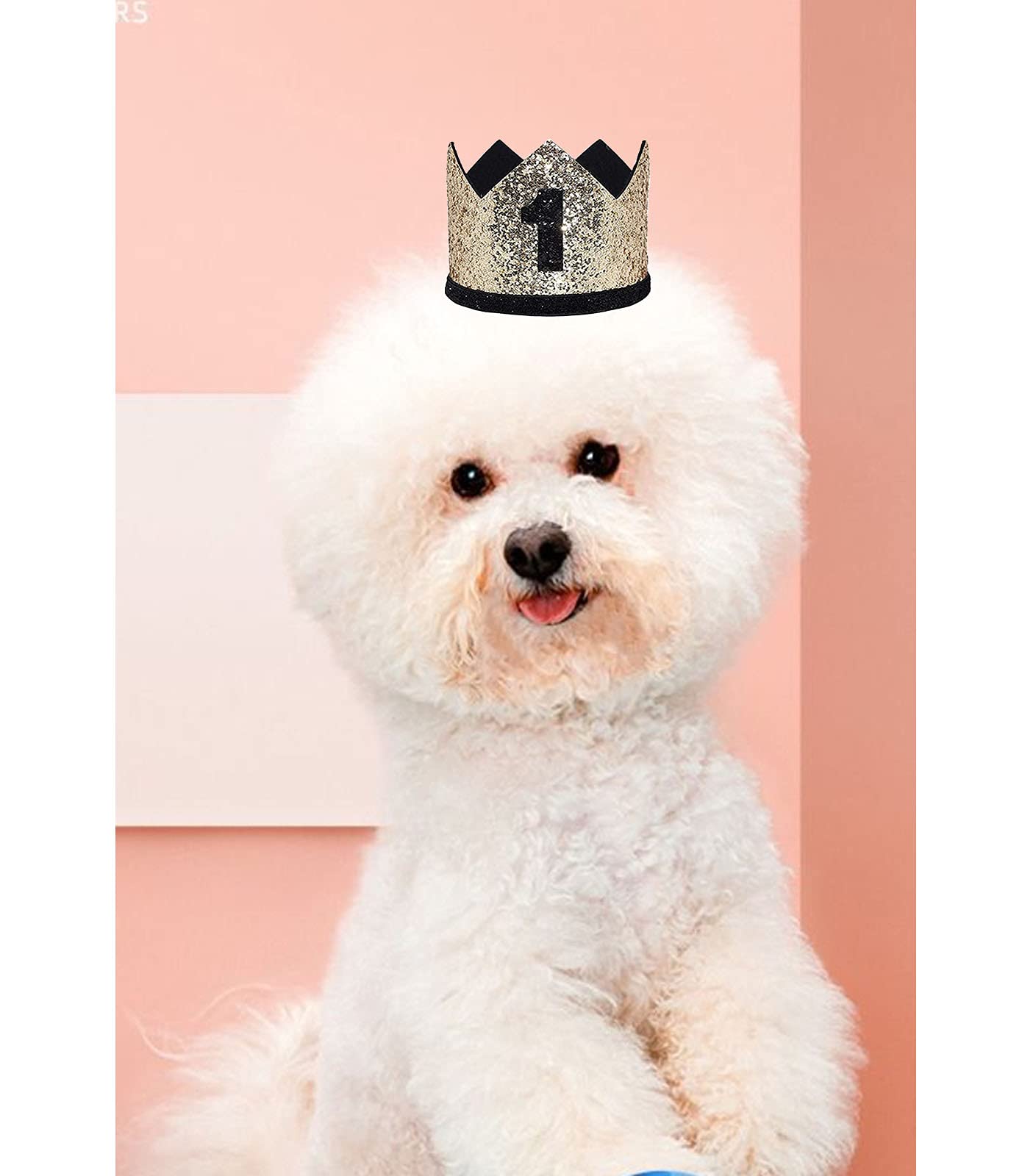 Produktbild von Ruiqas Hunde-Tutu, Rock, Fliege, Krone, Hut, Set, Geburtstagsparty-Zubehör Für Haustiere, Rock, Hochzeit, Outfit, Welpen, Kostüm Für Kleine Und Mittelgroße Hunde