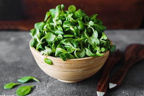 Miniatura 4 de Semillas Ensalada de maíz Lechuga de cordero Verduras tradicionales para plantar sin OMG