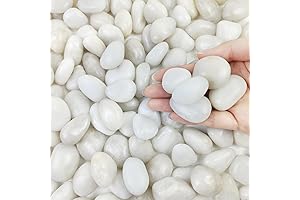2lbs Small White Pebbles
